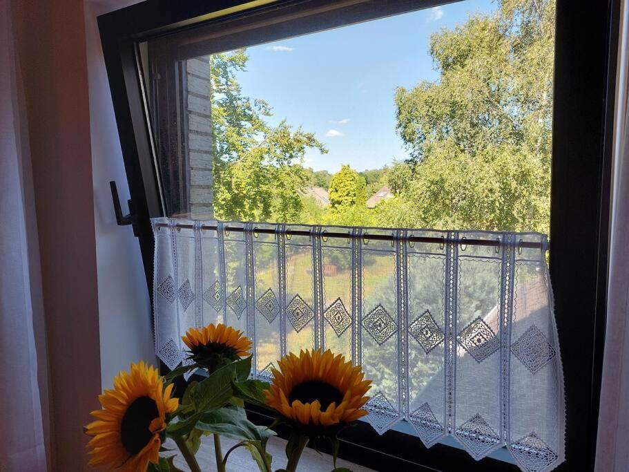 Apartment Grosse, Helle Mit Sonnigem Balkon *