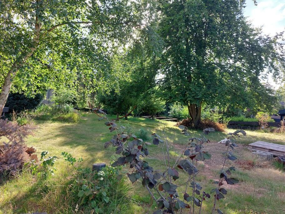 Grosse, Helle Mit Sonnigem Balkon Apartment